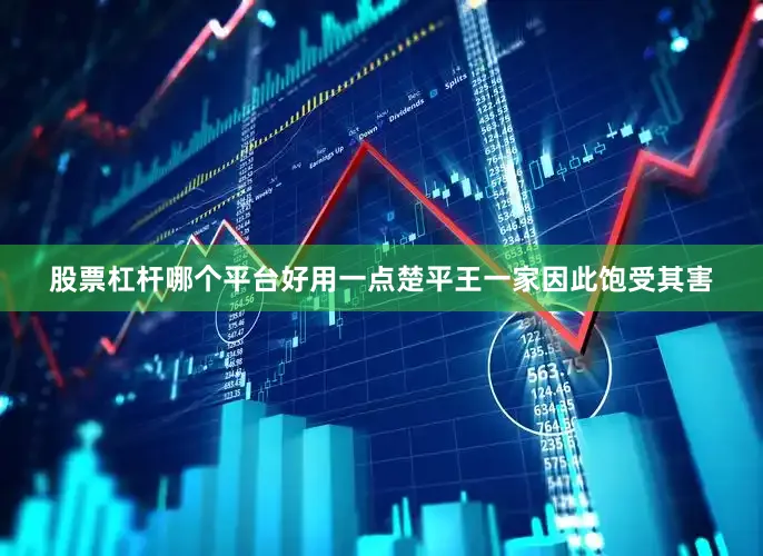 股票杠杆哪个平台好用一点楚平王一家因此饱受其害