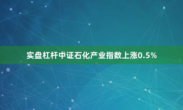 实盘杠杆中证石化产业指数上涨0.5%